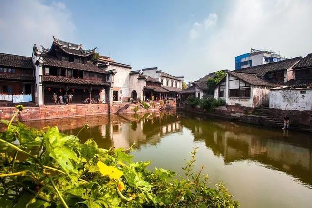 成武县“山东省乡村教育振兴实验区”校长培训暨名校长工作室建设推进会召开